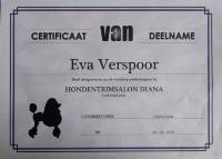 Certificaat 