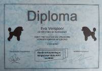 Trimdiploma Eva Verspoor